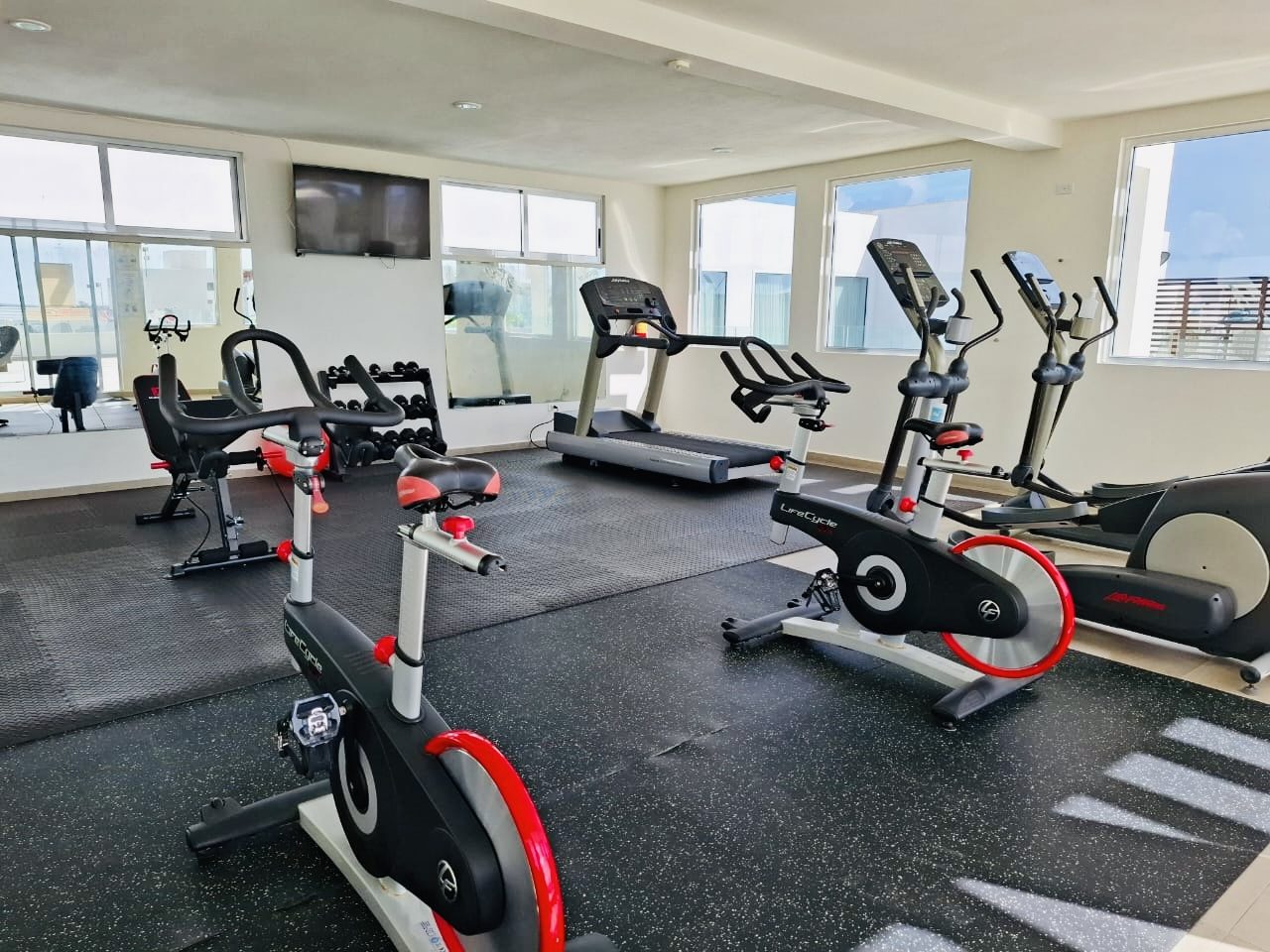 Gimnasio